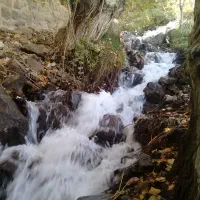 سویت باغ|اجارهٔ کوتاهمدت ویلا و باغ|دماوند, گیلاوند|دیوار