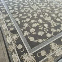 تعداد محدودی فرش ۶و۹و۱۲متری ۱۲۰۰شانه برجسته آکبند|فرش|کرمانشاه, |دیوار