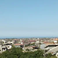 زمین 5000 متری جنگلی سنددار