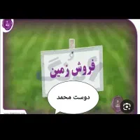 زمین  دوست محمد