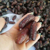 خرما پیارم هرمزگان|خوردنی و آشامیدنی|اهواز, کیانشهر|دیوار