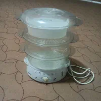 بخار پز همیلتون