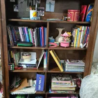 کتابخانه جادار چوبی|کتابخانه، شلف، قفسه‌های دیواری|رضوانشهر, |دیوار