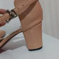 کفش|کیف، کفش، کمربند|اردبیل, |دیوار