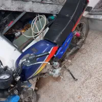 احسان شکاری‌مدل‌86