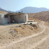 فروش ملک باغ زمین انجیر 2 هکتار|فروش دفتر صنعتی، کشاورزی، تجاری|نیریز, |دیوار