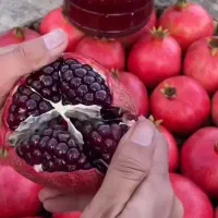 اب انار و انار