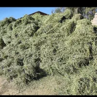 یونجه گونی و فله