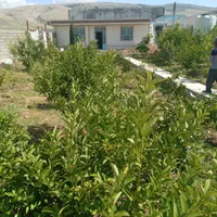 فروش ویلاباغ نقلی وشیک در روستای چهارتنگ ایذه|فروش خانه و ویلا|اهواز, امانیه|دیوار