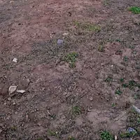زمین نزدیک‌ قوری چای کارگاه .باغچه .خونه باغ