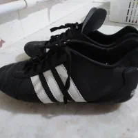 کفش چمنی فوتبال|کیف، کفش، کمربند|گیلان غرب, |دیوار