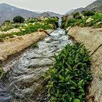 فروش-فوری-زمین-باغشهری-پردیس-ملوسجان-فقط-متری1-800
