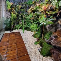 آکوا پالاداریوم،پالاداریوم،اتریوم جنگل هوشمندطبیعی