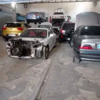 نقاش وارد یا نیمه وارد