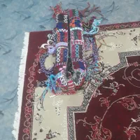 یک عدد جل و ورسینه و کوهان به فروش می رسد|لوازم جانبی حیوانات|آبدانان, |دیوار