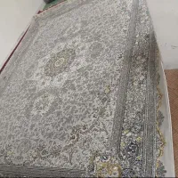 فرش|فرش|اردکان, |دیوار