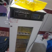 فروش دستگاه جوجه کشی هدایت کاملا دیجیتال