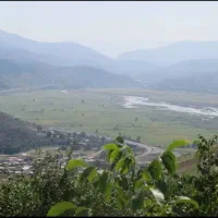 شریک،مشارکت،شراکت