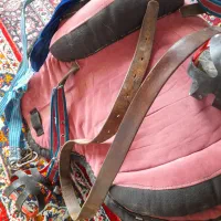 وسائل اسب|اسب و تجهیزات اسب‌سواری|نهاوند, |دیوار