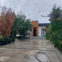 کردزار-حافظ-سند-تک-برگ-مستقل