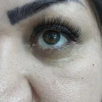 بهترین خدمات ناخن و مژه در شیراز|خدمات آرایشگری و زیبایی|شیراز, دارالرحمه|دیوار