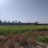 زمین-کشاورزی