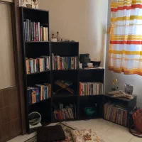 تخت کودک، مبل راحتی و استیل، کتابخانه و فرش|مبلمان خانگی و میز عسلی|اصفهان, قلعه طبره|دیوار