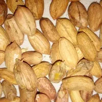 بادام زمینی|خوردنی و آشامیدنی|پاکدشت, شهرک امام رضا|دیوار