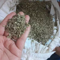 آویشن تازه کوهی