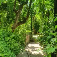 اجاره-باغ-رستوران-بومگردی-با-تجهیزات