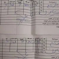 النگو طلا شماره یک|جواهرات|اردبیل, |دیوار