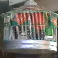 سره خاکی بخون