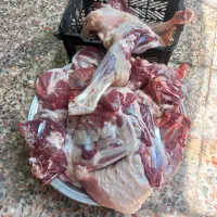 قصاب سیار وخوش قول|خدمات پذیرایی، مراسم|اندیمشک, |دیوار