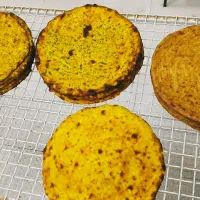 تافتون فقط 20