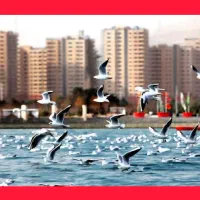 ورود به بازار ملک گران نیست/۳۵ متری غرب ایرانمال