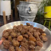 آلو آفتابی خوانسار