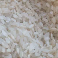 برنج کامفیروزی درجه یک به شرط پخت و یک دستی