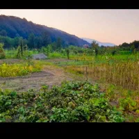 زمین باغی مازندران سوادکوه|فروش زمین و ملک کلنگی|زیرآب, |دیوار