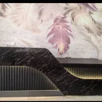 کانتر رونیکا