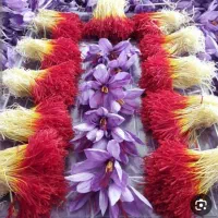 زعفران دختر پیچ