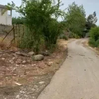 فروش ویلای ۳۵۰متری پاه کوه بازیربنای ۶۰متری|فروش خانه و ویلا|شاندرمن, |دیوار