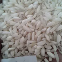 برنج هاشمی|خوردنی و آشامیدنی|زنجان, |دیوار