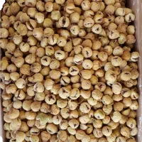 فروش انجیر استهبان