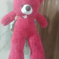 خرس|اسباب و اثاث بچه|مرودشت, تامین اجتماعی‎|دیوار