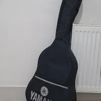 گیتار متا پور ۱