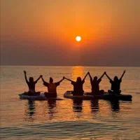 تور  جنوب پدل برد