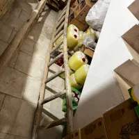 نردبان چوبی