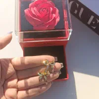 گوشواره پاپیون|بدلیجات|اسلام‌شهر, شهرک قائمیه|دیوار