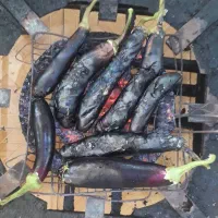 کارگر سبزیجات آماده