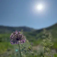 اگر کسی میتونه راهنمایی کنه ممنون میشم د ع ا